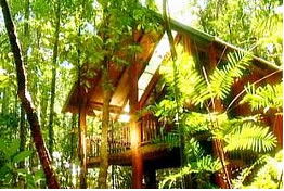 The Canopy Treehouses - Dalby Accommodation 0