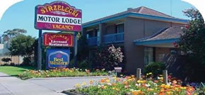 Strzelecki Motor Lodge - Dalby Accommodation 0
