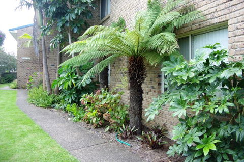 Beachfront Units Merimbula - Dalby Accommodation 3