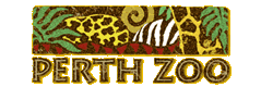 Perth Zoo - Dalby Accommodation