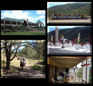 Bestbrook Mountain Resort - Dalby Accommodation 1