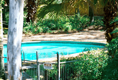 Forest Lodge Apartments - Dalby Accommodation