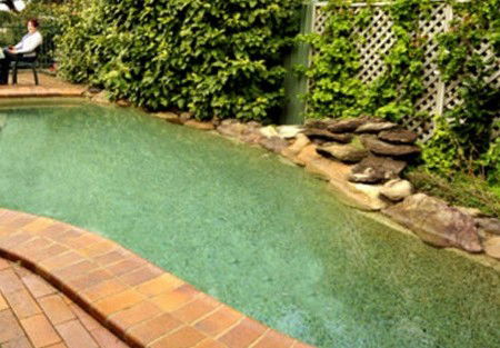 Newcomen Bed And Breakfast - Dalby Accommodation 2