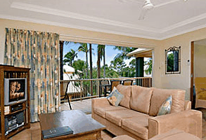 Noosa River Palms - thumb 2