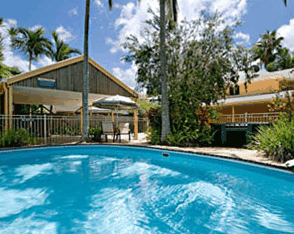 Noosa River Palms - thumb 4