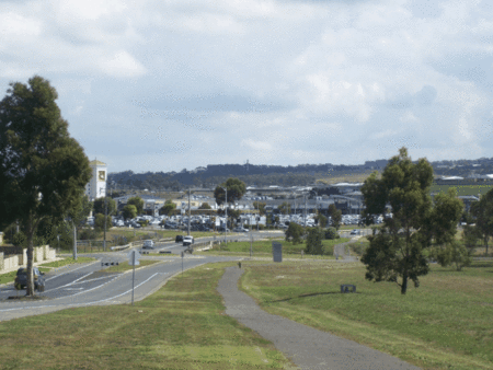 Golden Palms Motel - Dalby Accommodation 0
