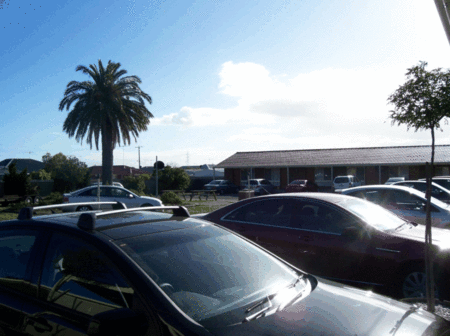 Golden Palms Motel - Dalby Accommodation 3