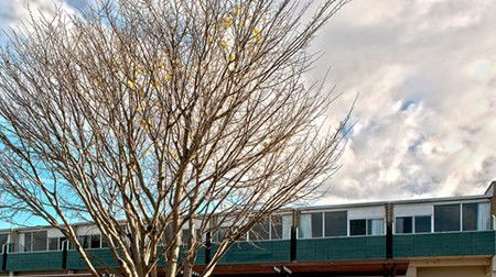 St Helens Bayside Inn - Dalby Accommodation 1