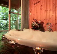Tree Houses Of Montville - Dalby Accommodation