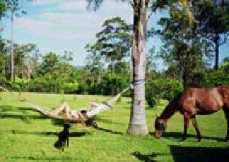 Clybucca NSW Dalby Accommodation