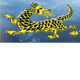 Dragon Phoenix Motel amp Restuarant - Dalby Accommodation