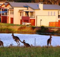 Grand Mercure The Vintage Hunter Valley - Dalby Accommodation