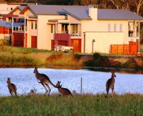 Grand Mercure The Vintage Hunter Valley - Dalby Accommodation 0