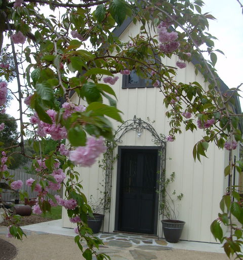Silverleaf Cottage - Dalby Accommodation 0