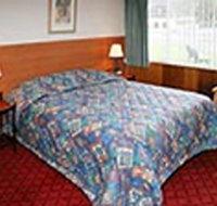 Mt Lyell Motor Inn - Dalby Accommodation