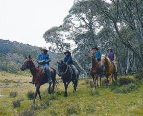 Pender Lea - Dalby Accommodation 0