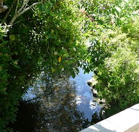 Mole Creek Hotel - Dalby Accommodation