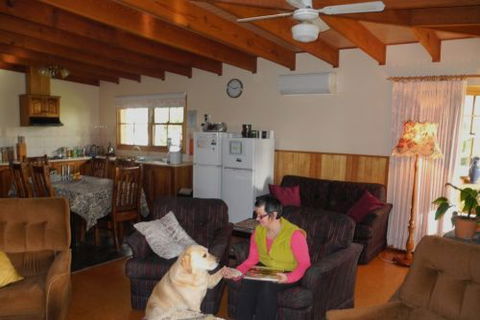 Happydays Accommodation Motor Inn - Dalby Accommodation 5