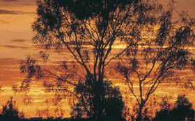 Tilmouth Well - Dalby Accommodation 0