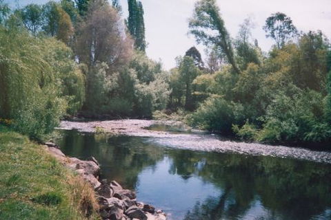 Boutique Motel Sefton House - Dalby Accommodation 7