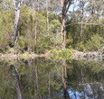 Sanctuary House Resort Motel - Healesville - Dalby Accommodation 5