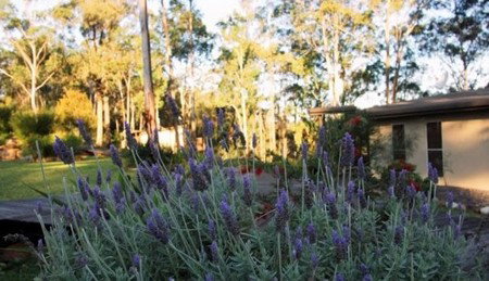 Wild Edge Retreat - Dalby Accommodation 2