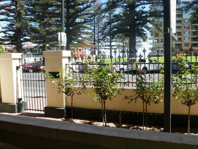 Grandview House Apartments - Dalby Accommodation 5