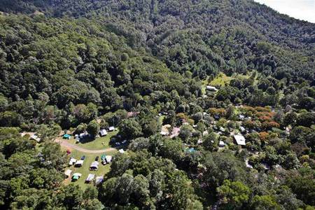 Mount Warning Rainforest Park - Dalby Accommodation 3