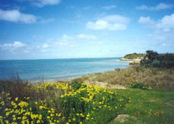 St Andrews Boulevard Apartments - Dalby Accommodation 1