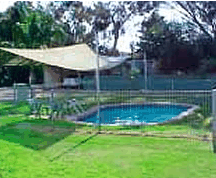 Paringa Caravan Park - Dalby Accommodation 1