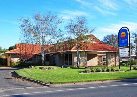 Comfort Inn Silver Birch - Dalby Accommodation 0