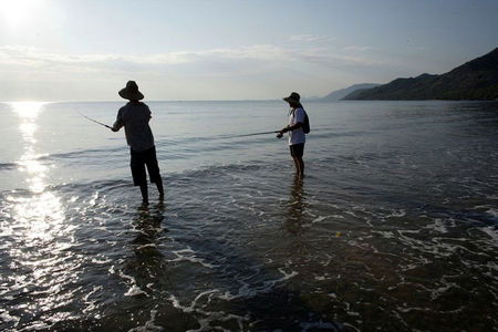 Central Plaza Port Douglas - Dalby Accommodation 5