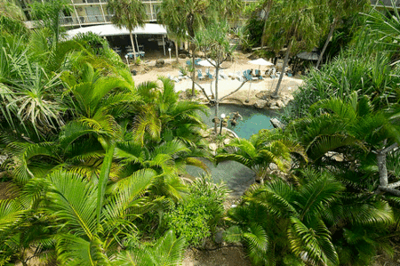 Club Crocodile, Airlie Beach - Dalby Accommodation 2