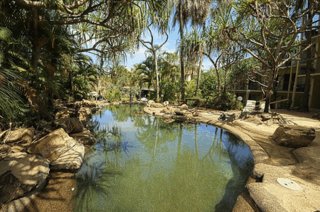 Club Crocodile, Airlie Beach - Dalby Accommodation 4