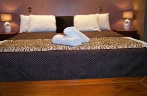 Bohemia Resort Cairns - Dalby Accommodation 1