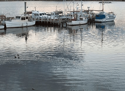 Hobart Apartments - Dalby Accommodation 1