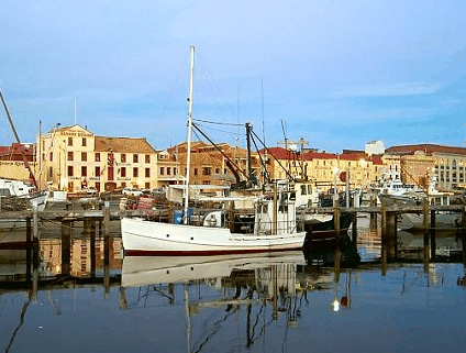 Hobart Apartments - Dalby Accommodation 4