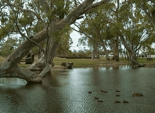 Bordertown Abode Parkland Motel - Dalby Accommodation 2