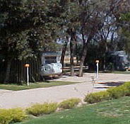Paringa Caravan Park - Dalby Accommodation