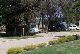 Paringa Caravan Park - Dalby Accommodation 0