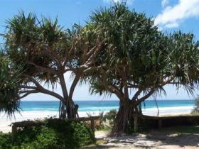 Pacific Surf Absolute Beachfront Apartments - Dalby Accommodation 0