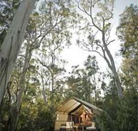 Paperbark Camp - Dalby Accommodation