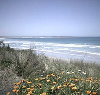 Moyne Cottage - Dalby Accommodation