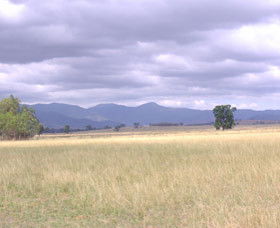 Sherwoods Cottage Farmstay - Dalby Accommodation 0