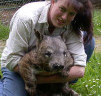 Fauna Australia Wildlife Retreat - Dalby Accommodation