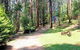 Hill 'n' Dale Farm Cottages - thumb 0