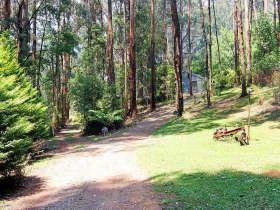 Hill 'n' Dale Farm Cottages - Dalby Accommodation 0