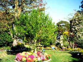 Jolly Swagman Caravan Park - Dalby Accommodation 0