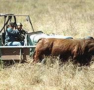 Bullo River Station - Dalby Accommodation