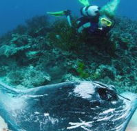 Heron Island Resort - Dalby Accommodation